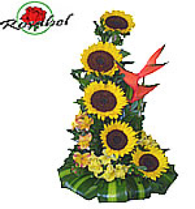 Floral arrangement of moon sunflowers