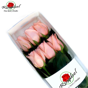 Caja de 6 Rosas Rosadas envios a dimicilio