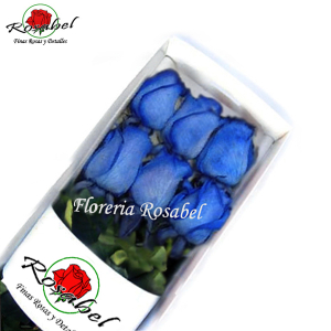 Caja con 6 Rosas Azules
