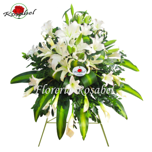 Lagrima Especial en Parante 03 Lagrima Especial en Parante 03