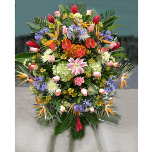 Flores de Inauguración IG 03 Flores de Inauguración IG 03