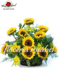 Floral Basket of Sunflowers Delivery