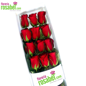 Caja de 12 Rosas Rojas para Regalar