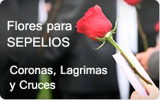 Coronas Funebres