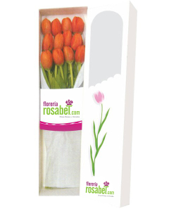 caja de 10 tulipanes naranjas caja de 10 tulipanes naranjas