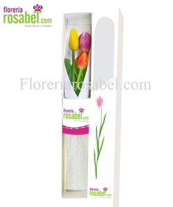 Caja de 3 tulipanes de colores, caja con tres tulipanes, caja  con 3 tulipanes, caja con 3 tulipanes rosabel Caja de 3 tulipanes de colores, caja con tres tulipanes, caja  con 3 tulipanes, caja con 3 tulipanes rosabel