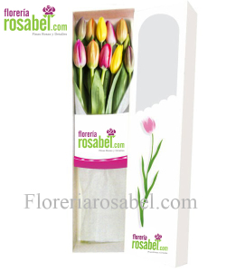 Caja de 10 tulipanes de colores Caja de 10 tulipanes de colores