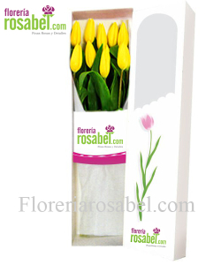 caja de 10 tulipanes amarillos