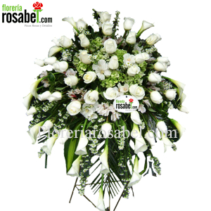 Tear funerals with parante, sending to funeral wake, burials Tear funerals with parante, sending to funeral wake, burials