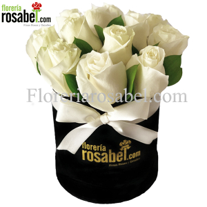 Caja, Box negra con Rosas Blancas  Caja, Box negra con Rosas Blancas