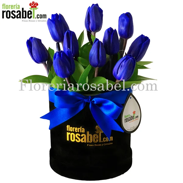 box con Tulipanes azules Lima Peru