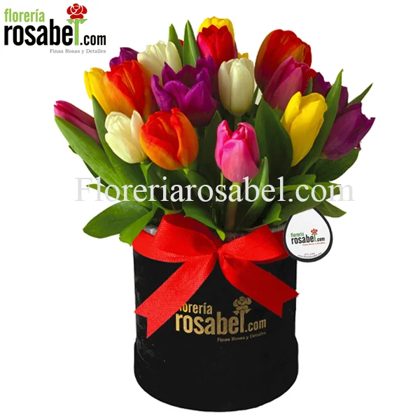 box,  caja negra con 20 Tulipanes de Colores