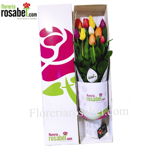 box with colored tulips, delivery box with colored tulips, delivery
