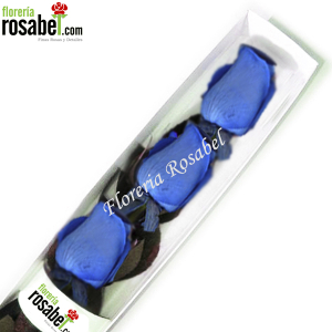 caja de tres rosas azules caja de tres rosas azules