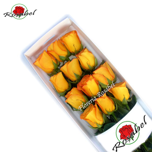 Caja de 12 Rosas Amarillas delivery