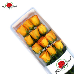 Caja de 12 Rosas Amarillas delivery Caja de 12 Rosas Amarillas delivery