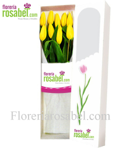 caja de 10 tulipanes amarillos caja de 10 tulipanes amarillos