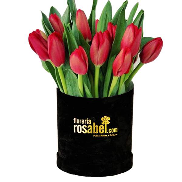 box de 12 tulipanes rojos Lima Peru box de 12 tulipanes rojos Lima Peru