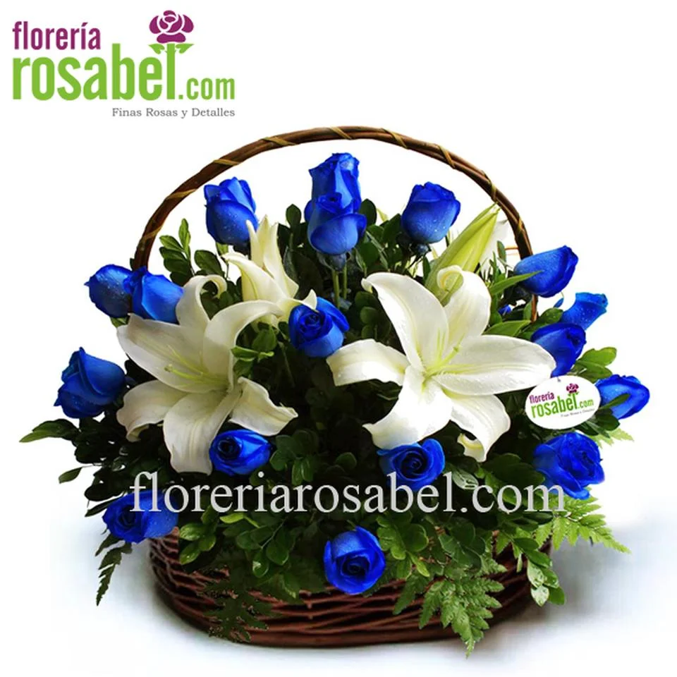 Canasta de 24 rosas azules Naturales
