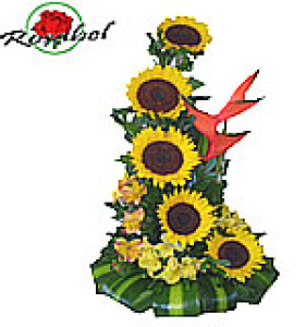 Arreglo de girasoles media luna Arreglo de girasoles media luna
