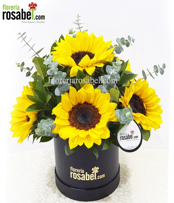 Box de 6 Girasoles