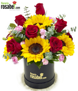 Box de Rosas Claveles y Girasoles Box de Rosas Claveles y Girasoles