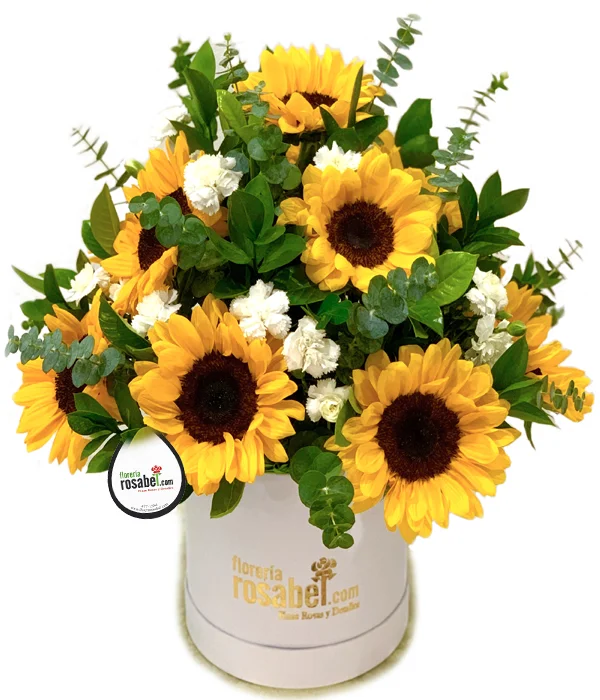 Arreglo de 12 Girasoles y Claveles Blancos