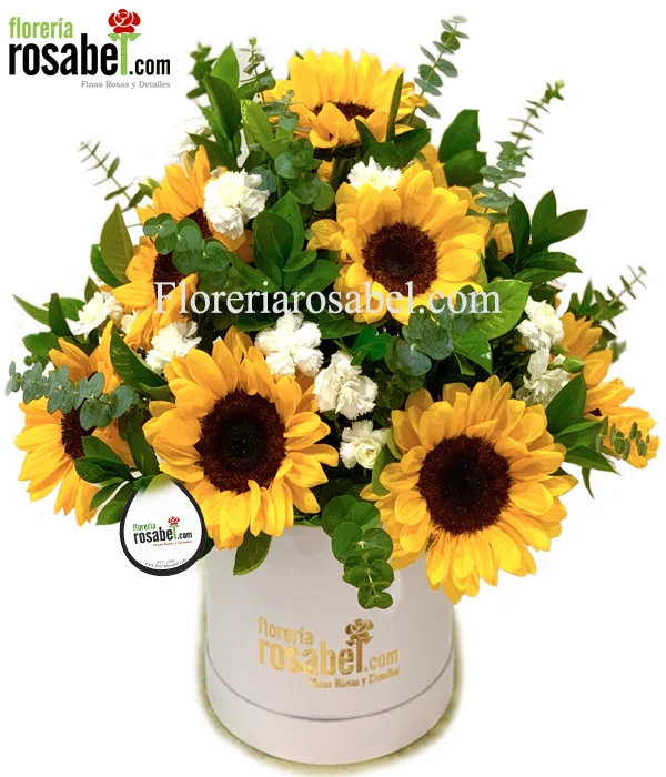 Arreglo de 12 Girasoles y Claveles Blancos