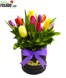 Sombrerera de tulipanes mixtos arreglo Sombrerera de tulipanes mixtos arreglo