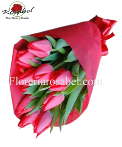 Ramo de 10 tulipanes rojos