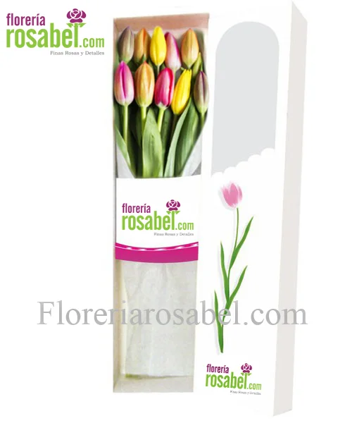 caja-10-tulipanes-colores-envio-domicilio-lima.jpg