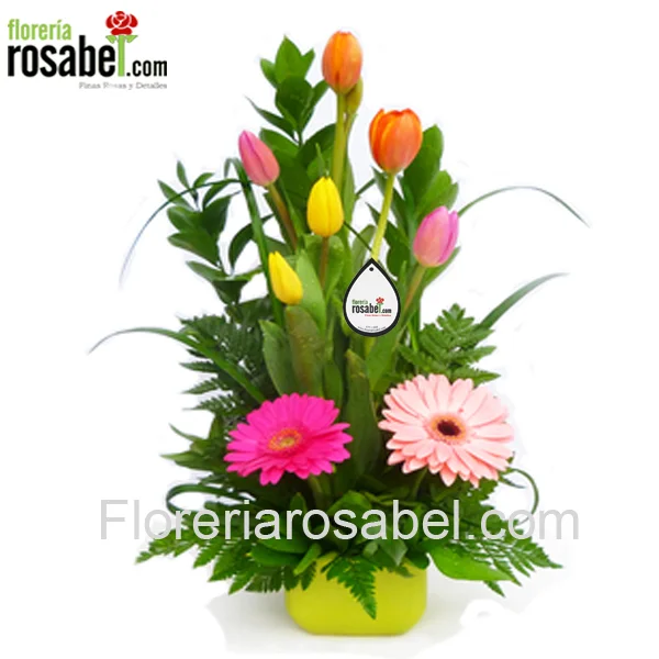 Arreglo de 6 tulipanes y gerberas en colores mixtos con envío a domicilio en Lima