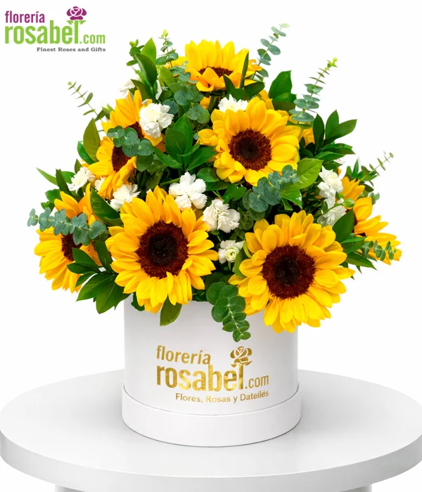 Arreglo de 12 girasoles y claveles blancos en base floral Rosabel