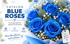 Rosas Azules
