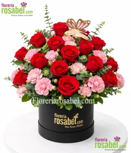 Box cilíndrico con 24 rosas rojas y claveles rosados Floreria Rosabel
