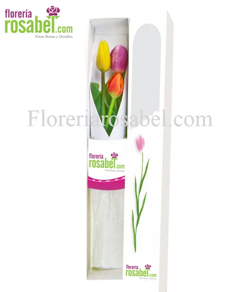 Caja con 3 tulipanes de colores