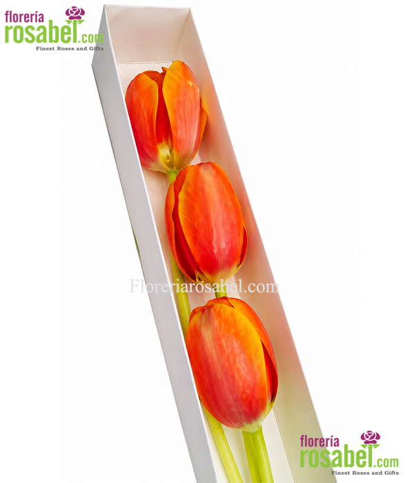 Caja de 3 tulipanes naranjas con entrega a domicilio en Lima
