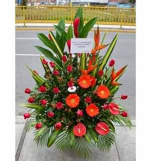 Copa empresarial con 24 rosas rojas, 4 gerberas, 3 anturios, ginger, heliconias y follajes