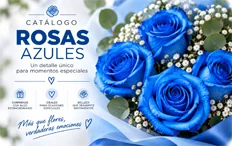 Rosas Azules