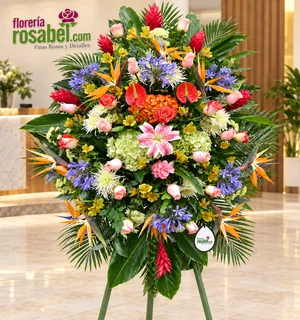 Flores para inauguración con rosas, hortensias, lirios, anturios, ginger y ave del paraíso