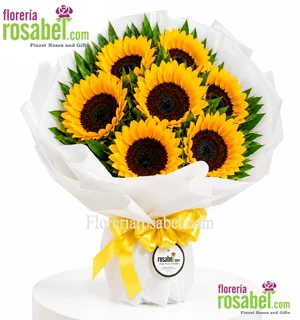 Ramo de 10 girasoles frescos con envoltura elegante