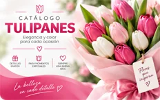 Tulipanes